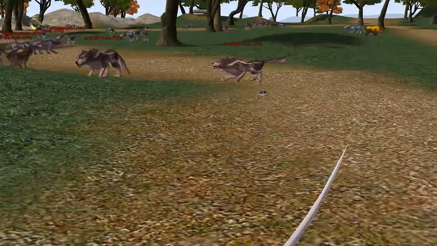 Visão em primeira pessoa